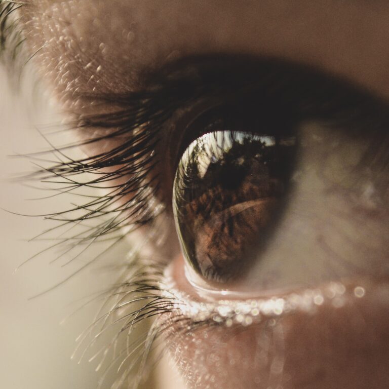 Closeup of an eye